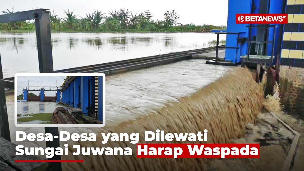 Detik-Detik Pembukaan Pintu Air Bendung Wilalung Arah Sungai Juwana Pati