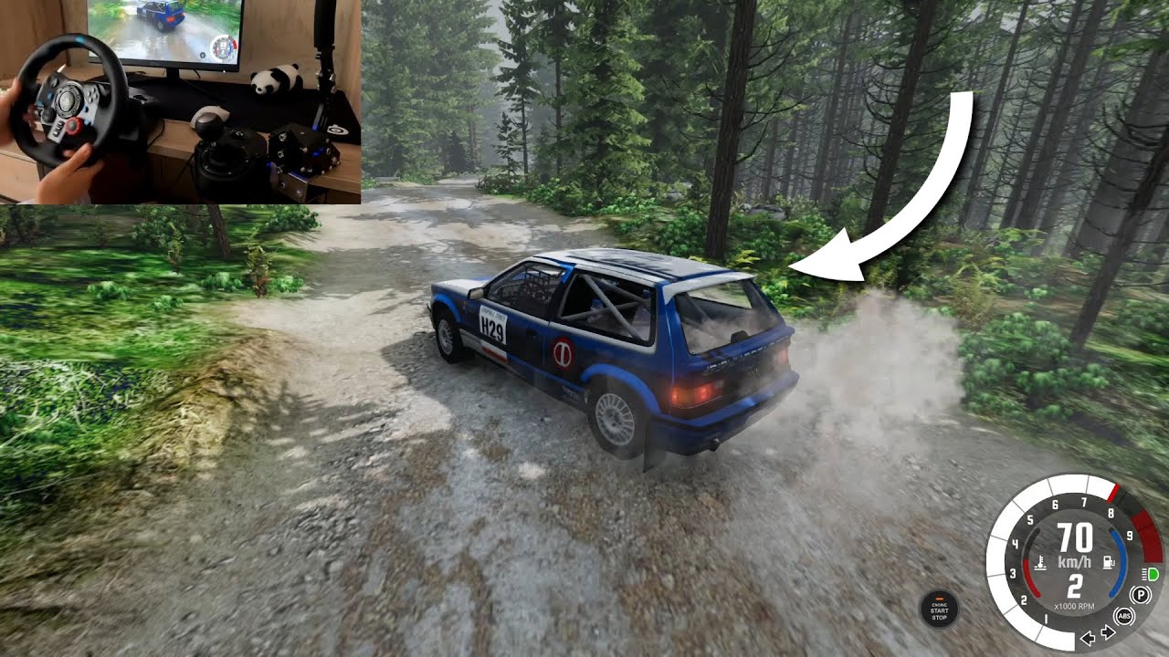 If you think Dirt Rally is hard, watch this...