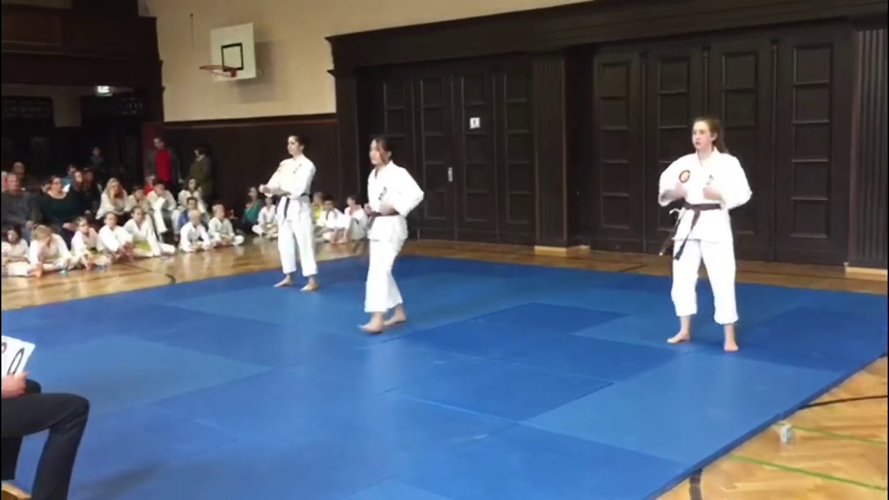 Tongil-Moo-Do Performance - Martial Arts School Yushinkan