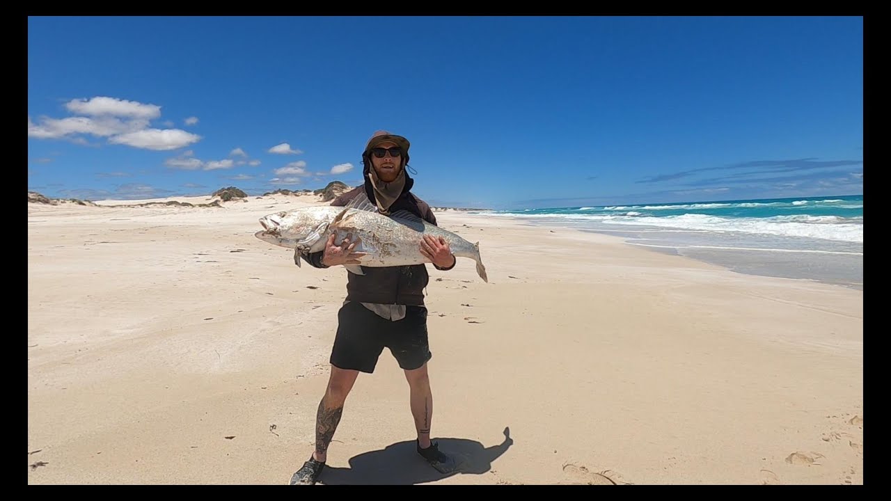 Mulloway Fishing the Far West Coast