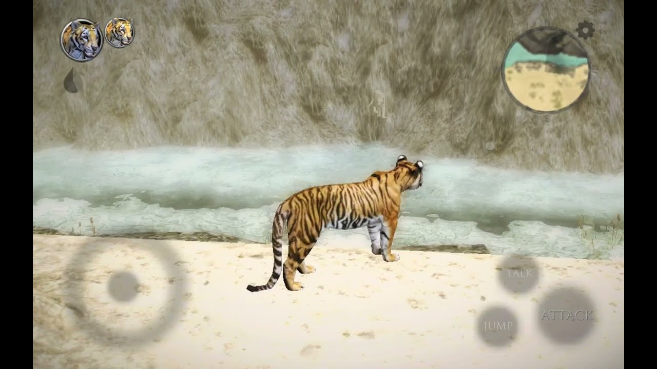 Ultimate Tiger | What is happening to the white tiger?
