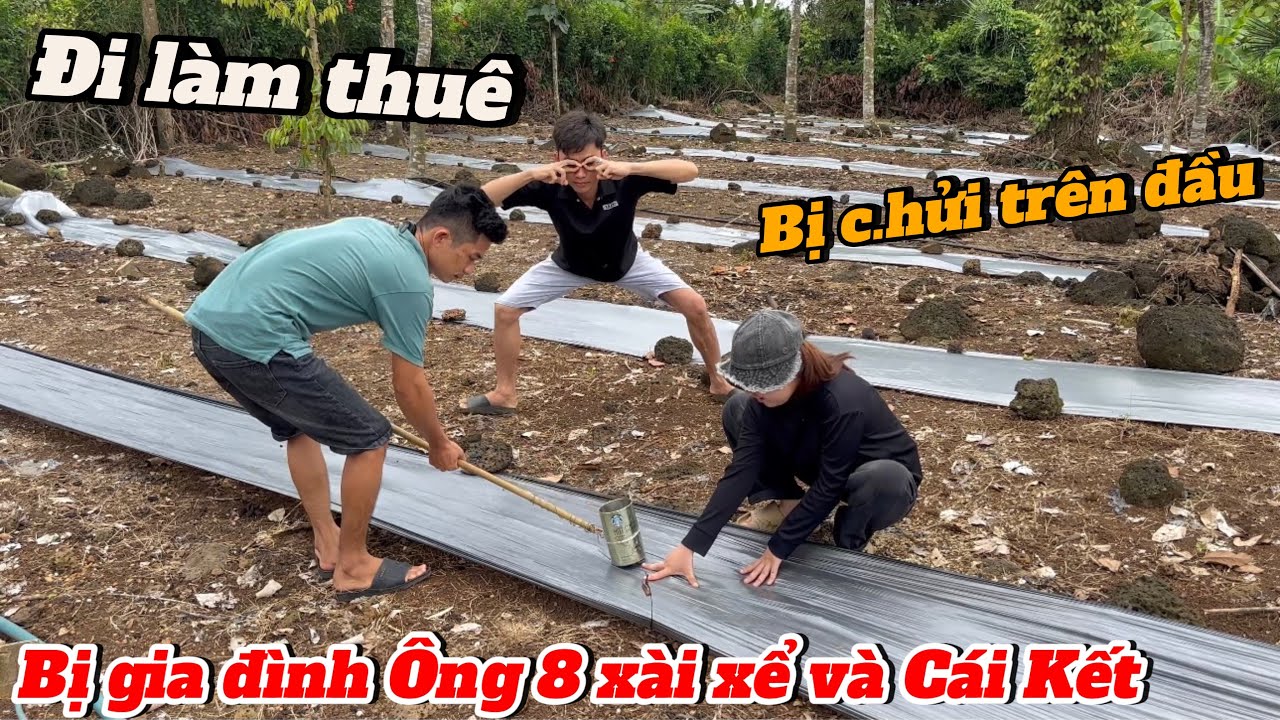 Đi làm thuê kiếm tiền ăn mà bị gia đình Ông Bà 8 xài xể-Nói nặng nói nhẹ trên đầu ko- Chán thiệt chứ
