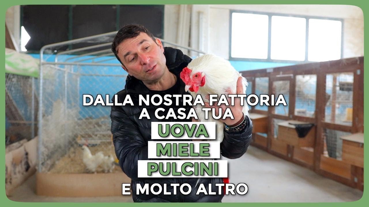 Benvenuti nella Fattoria Il Verde Mondo: Polli Ornamentali, Miele e Tanto Altro!