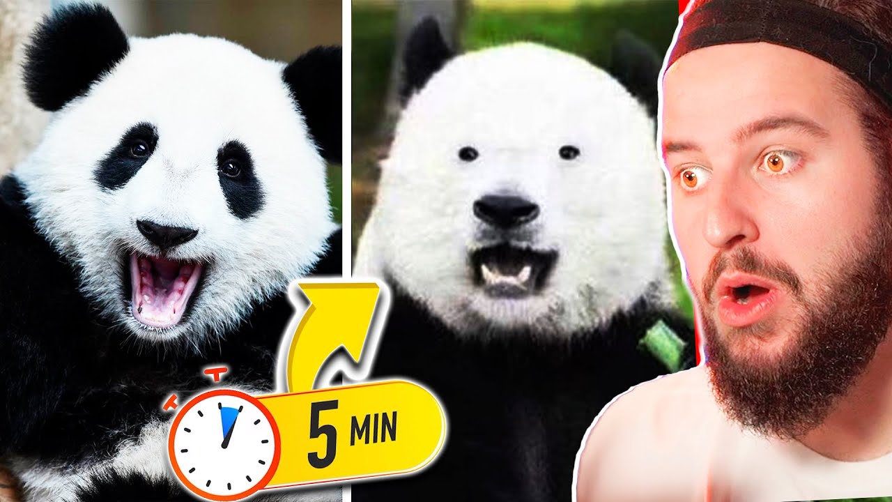 Reaccionando a Cosas Que NO Sabías Hace 5 MINUTOS 🤯 [45] | UVE