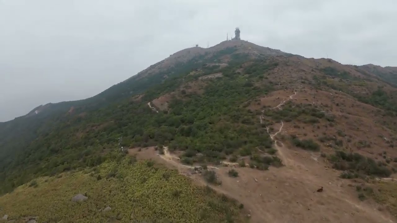 DJI Avata 2 (23 Jan 2026) 大帽山 Tai Mo Shan /  妙高台 Miu Ko Toi