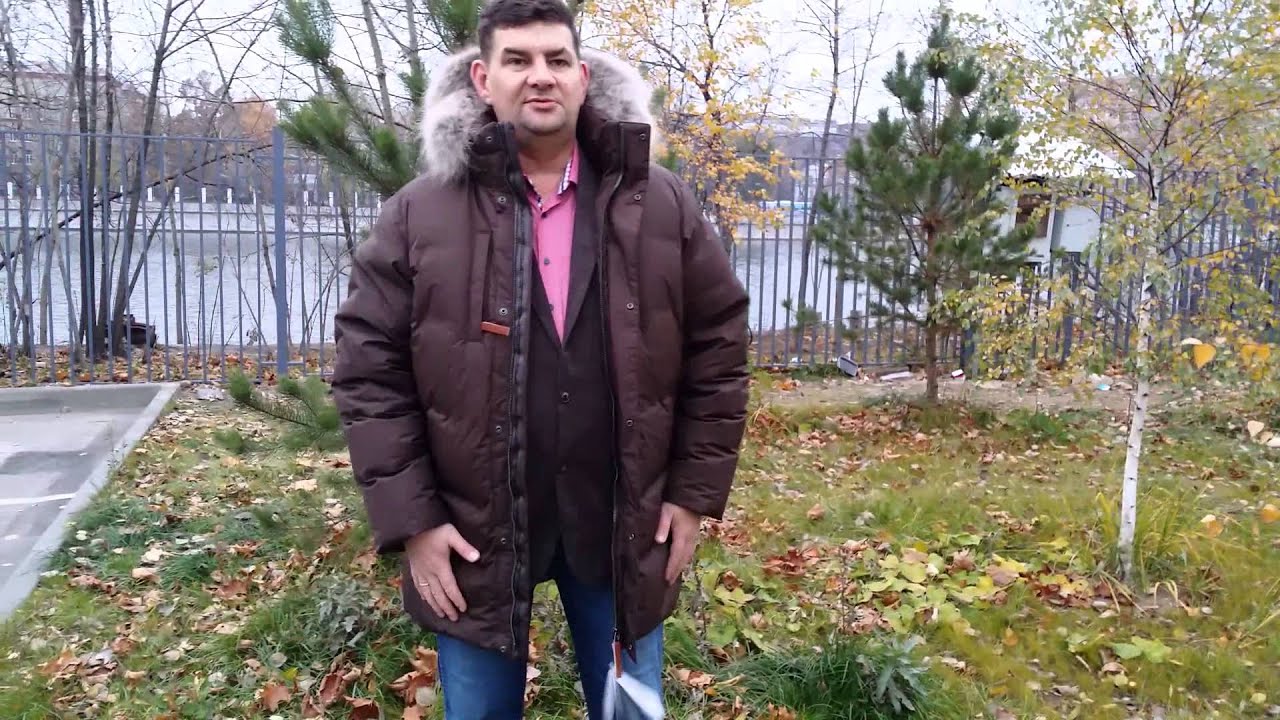 Сивера Сайгат Непрофессиональный обзор