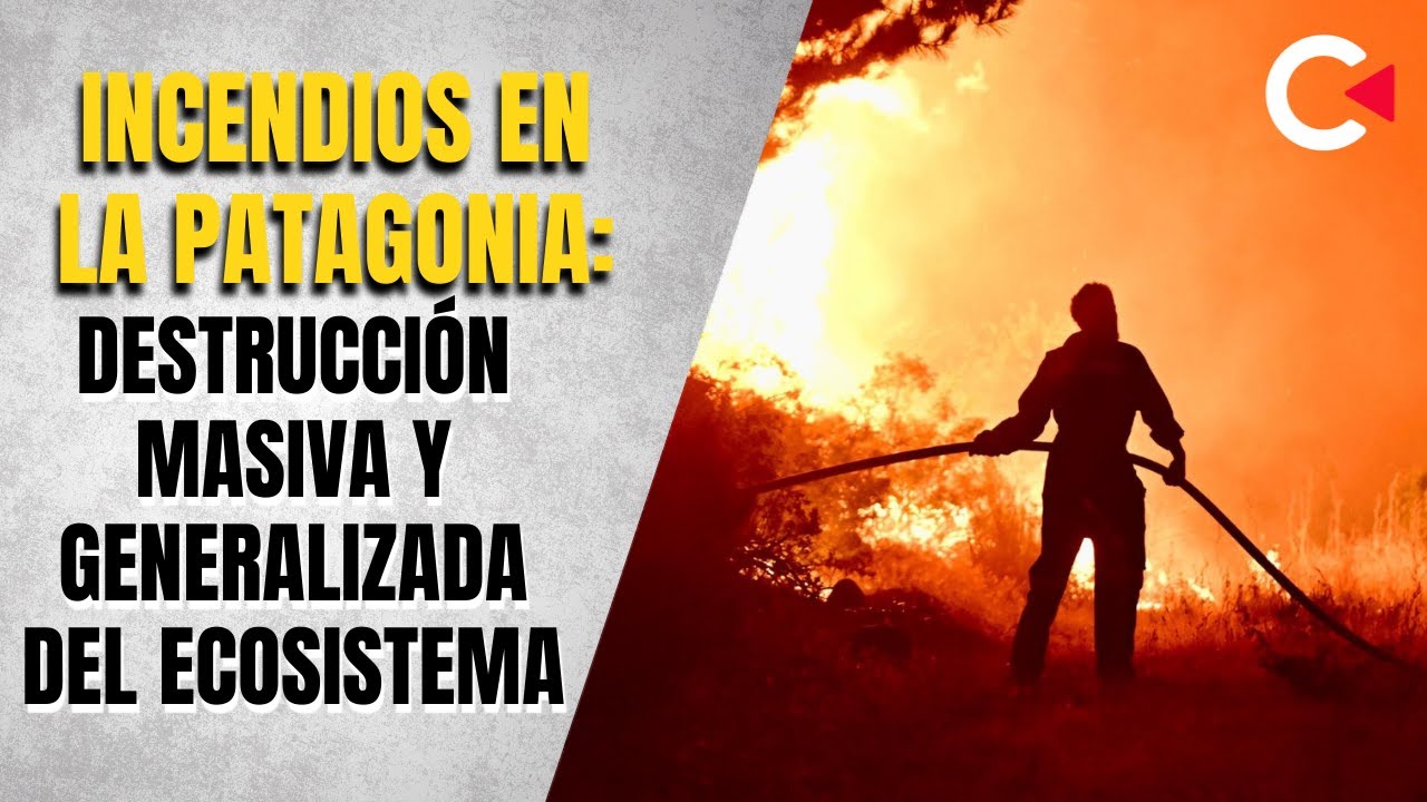 Incendios en la Patagonia: destrucción masiva y generalizada del ecosistema #contralíneatv #incendio