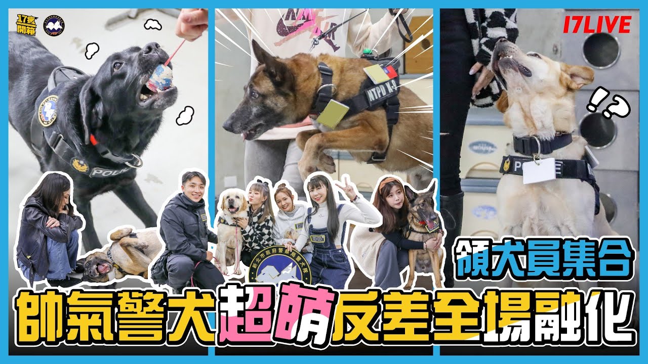 【17瘋開箱】毛警官實習日誌 開箱 #新北警犬隊 NTPD K-9 Unit｜@梓梓｜@林莎 ｜台灣 綜藝｜警犬隊開箱｜毛警官體驗
