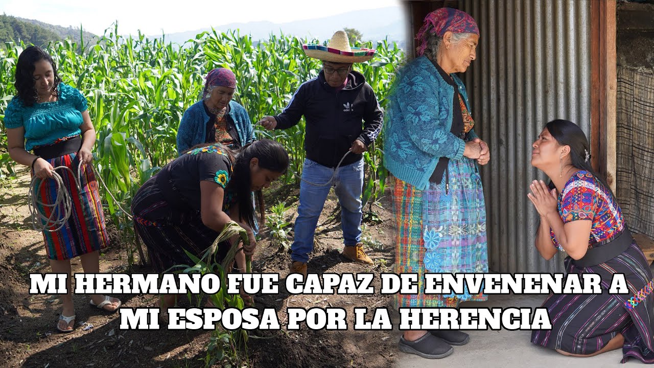 Mi hermano fue capaz de envenenar a mi esposa por la herencia