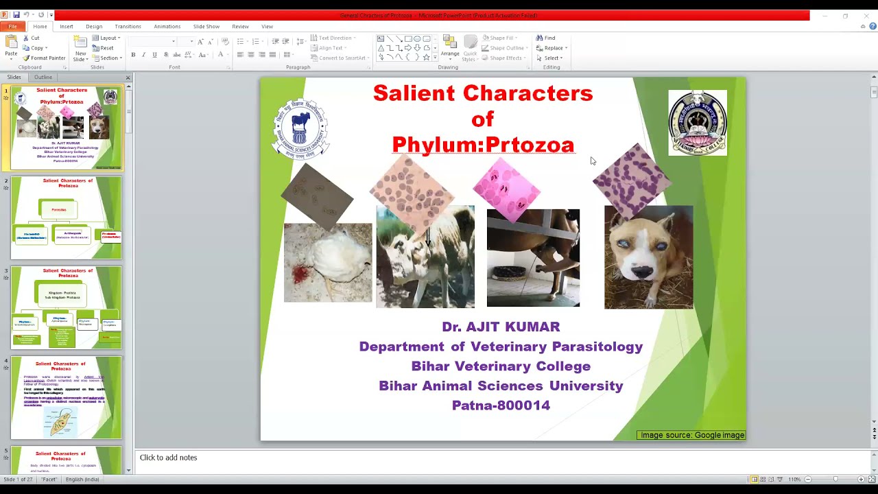 Salient characters of Protozoa by Dr. Ajit Kumar, Dept. of Parasitology, BVC, Patna