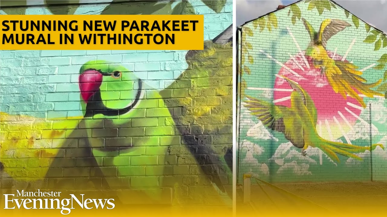 Withington Walls: Stunning new mural celebrating south Manchester’s famous parakeets