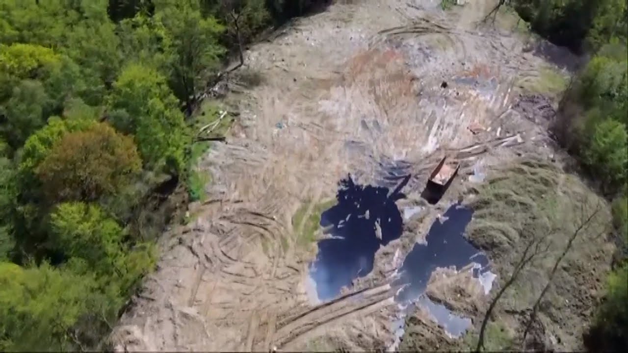 Shocking pictures of protected Kent woodland turned into wasteland (UK) 29/April/2024