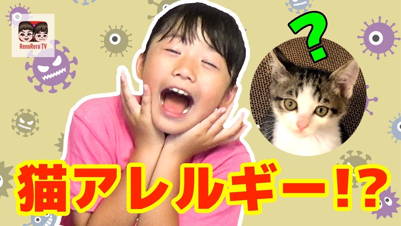 【アレルギー検査】れのん、猫アレルギー！？れのれら tv【#1300】