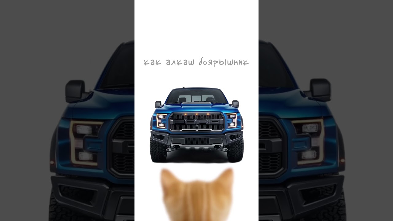 RAM TRX или FORD F150 RAPTOR? Кисы объясняют 😻