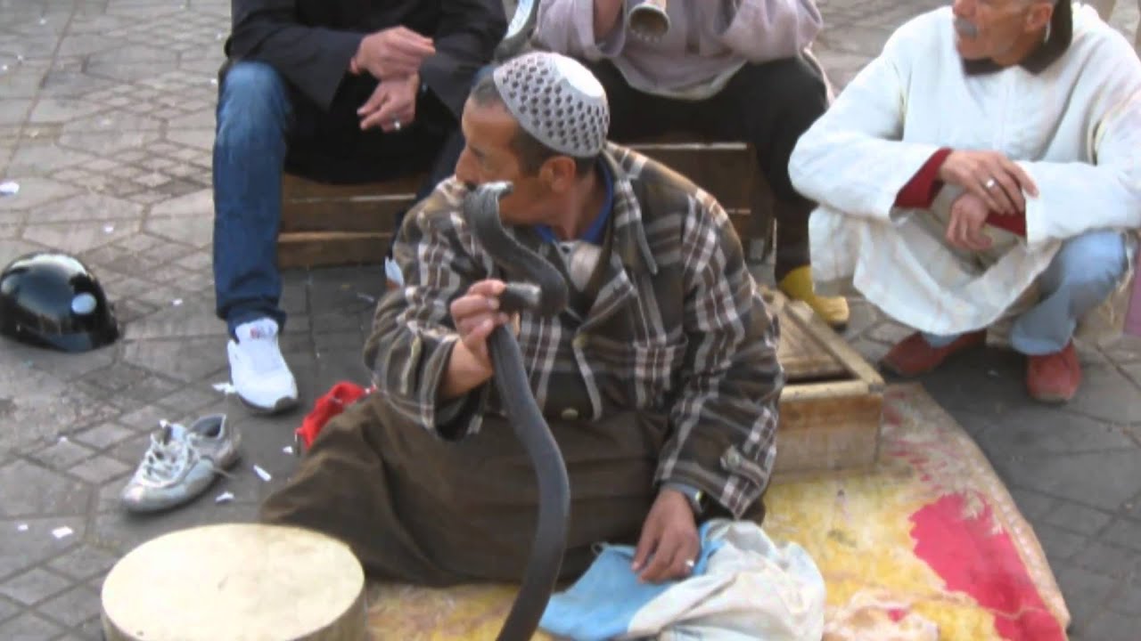 Morocco - Port of Casablanca (Mystical Marrakech)