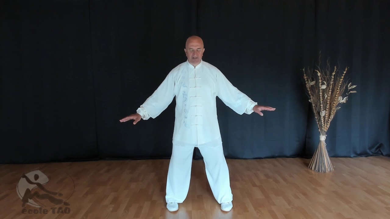 17 postures de l'école Tao - 2ème posture par Thierry Alibert 7ème Duan FFK