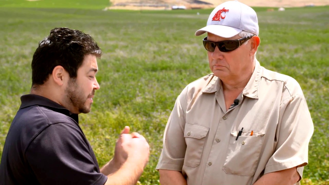 Wagoner Farms and Alkali Bees | Touchet, WA | Washington Grown