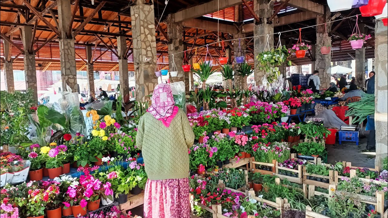28 Nisan 2025 Aydın Karacasu kapalı pazaryeri için deyiz 05061114721#keşfet #keşfetteyiz #plants #