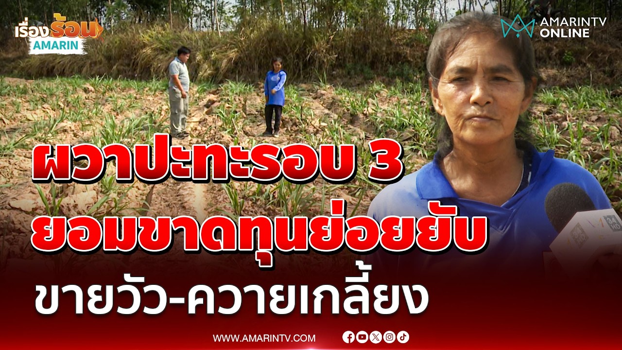 ชาวบ้าน ผวาปะทะรอบ 3 ยอมขาดทุนย่อยยับ ขายวัว-ควายเกลี้ยง | เรื่องร้อนอมรินทร์
