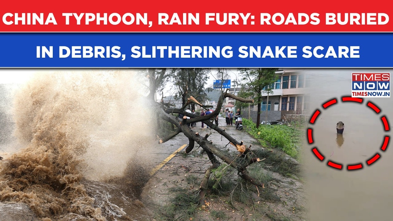 China Typhoon, Rain Fury: Watch- Roads Buried In Debris,  Slithering Snakes Horror, 2.2MN On The Run