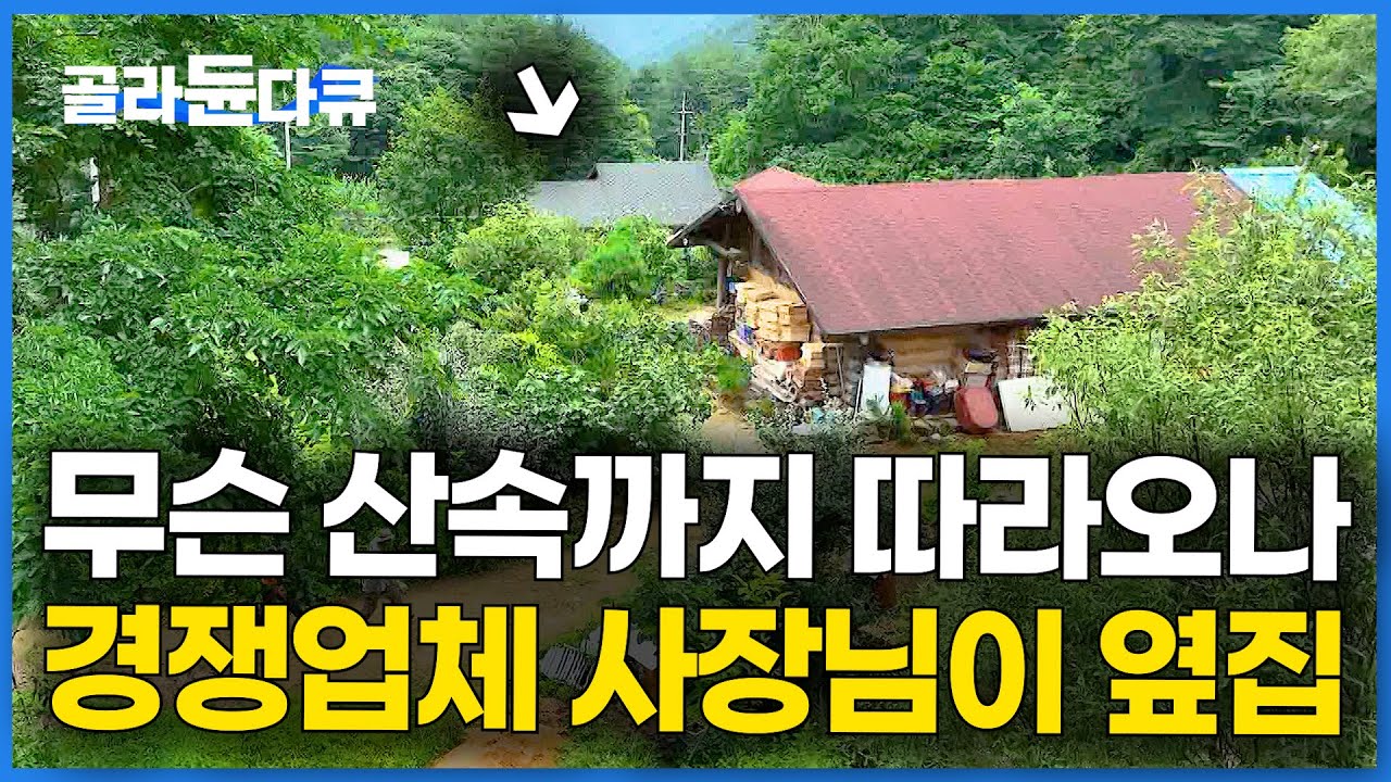 아니 전기도 없는데 여기까지 따라오시면 어떡해요. 아무도 없는 산골에 집 지었더니 경쟁업체 사장님이 옆집에 이사왔다｜한국기행｜#골라듄다큐