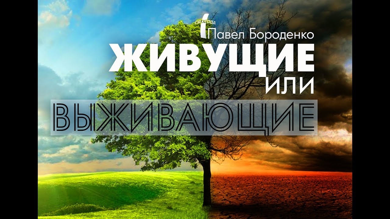Живущие или выживающие | Павел Бороденко