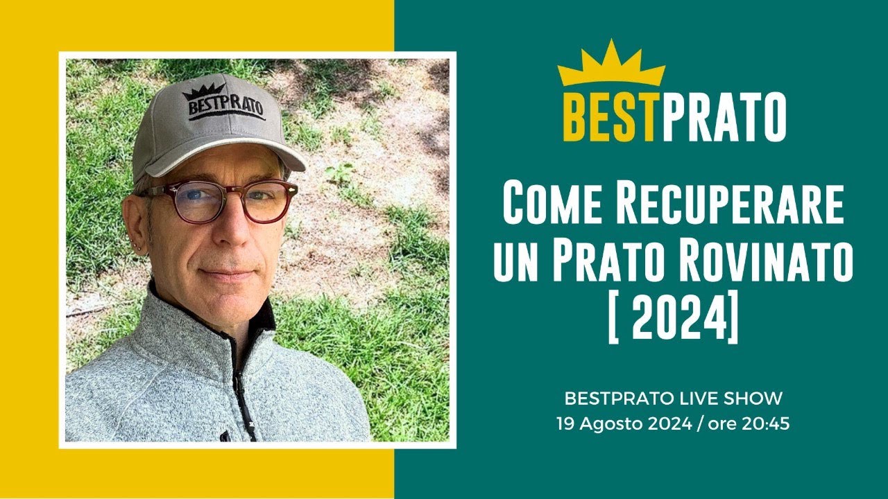 COME RECUPERARE UN PRATO ROVINATO?