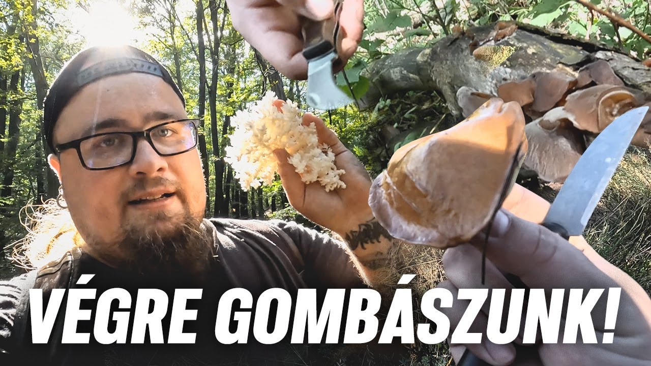 Indulgatnak az ŐSZI GOMBÁK!