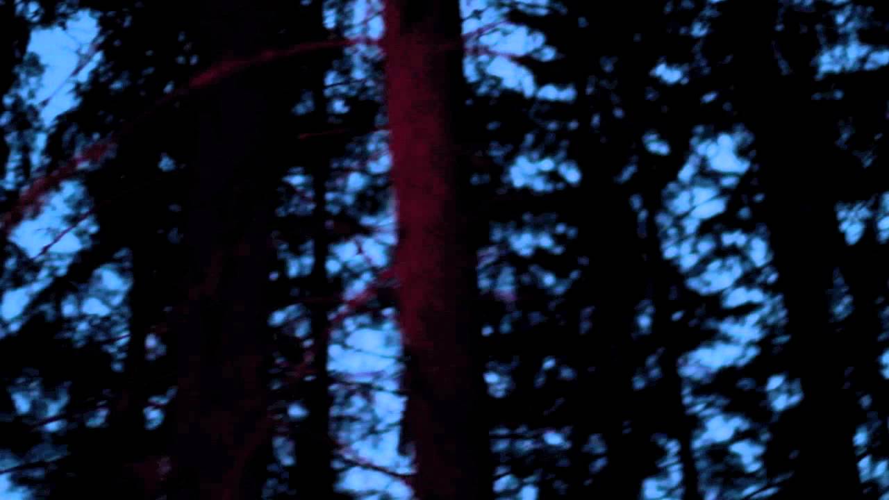 DEATH HAWKS - Death Has No Reprieve