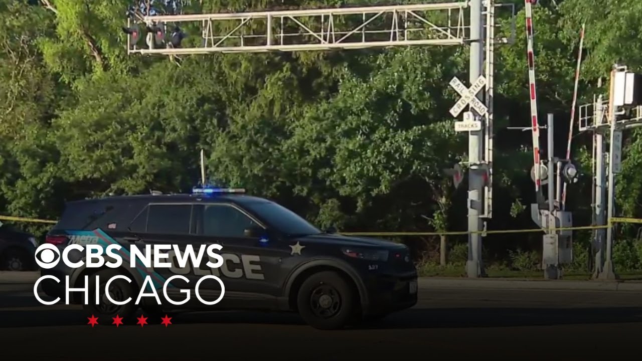 Pedestrian fatally struck by Metra train in Palatine, Illinois
