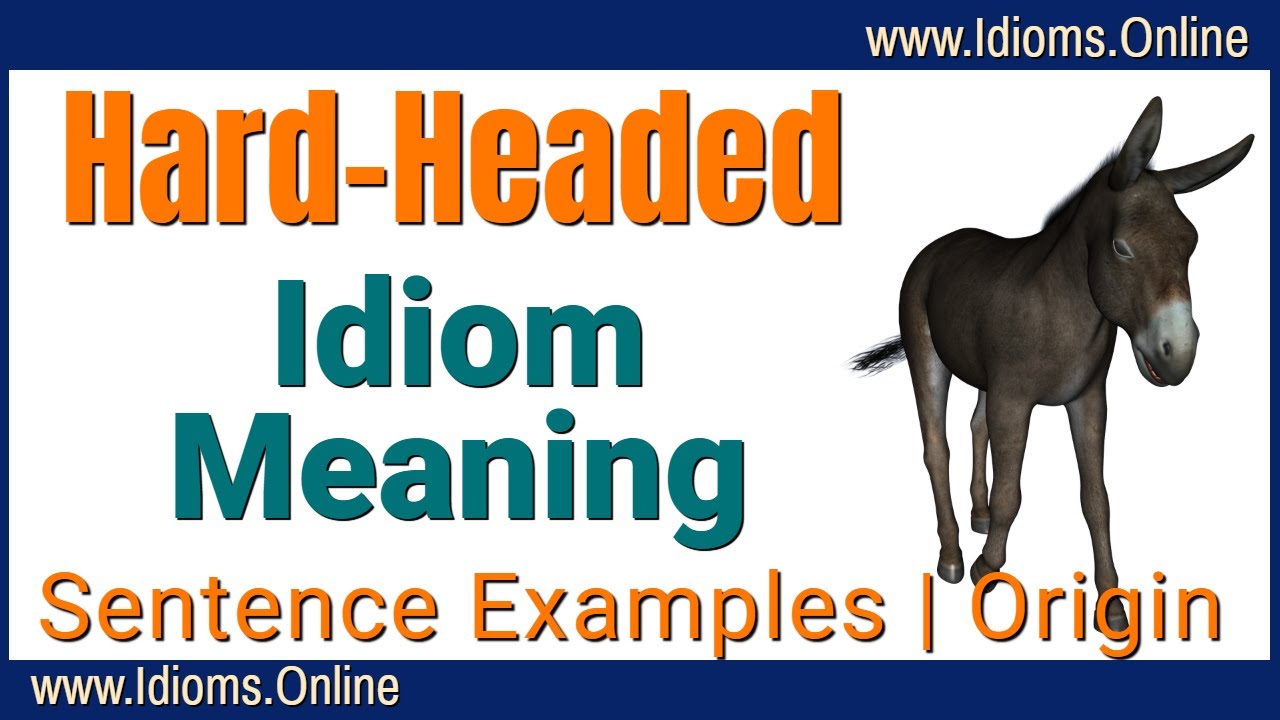 Hard-headed Idiom Meaning - English Expression Videos