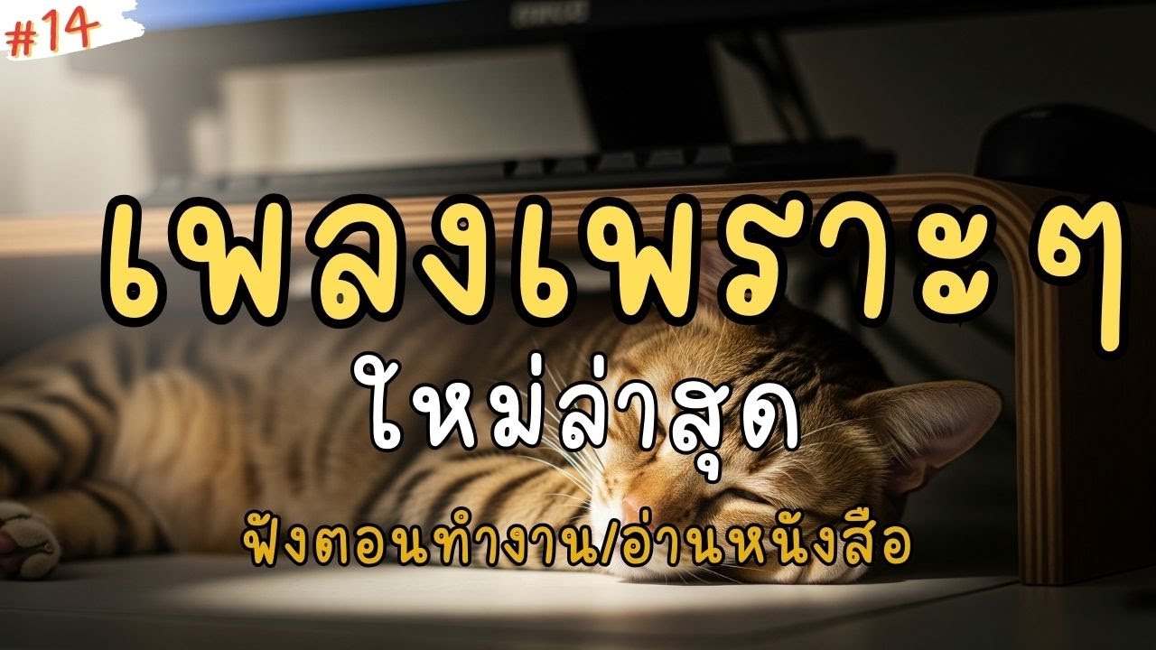 เพลงเพราะๆ ฟังสบาย 2026| เพลงใหม่ล่าสุด ฟังตอนทำงาน/อ่านหนังสือ ไม่มีโฆษณาคั่นบ่อย
