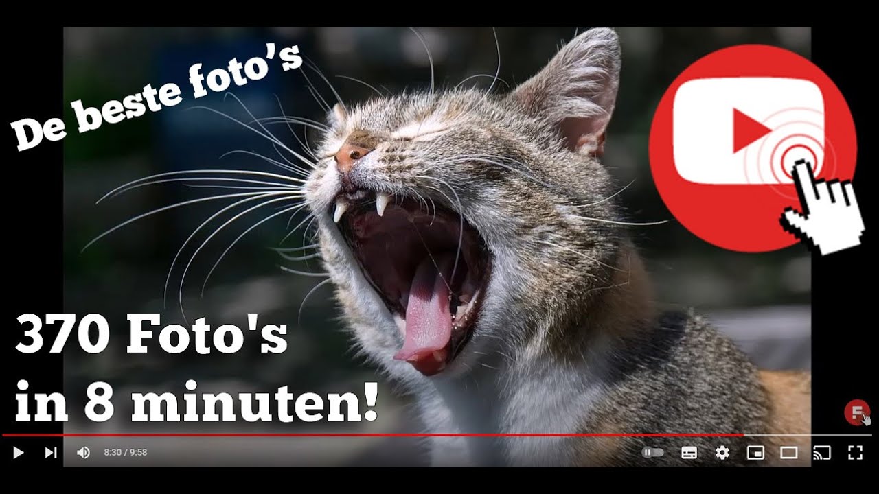 370 Foto's in 8 minuten!