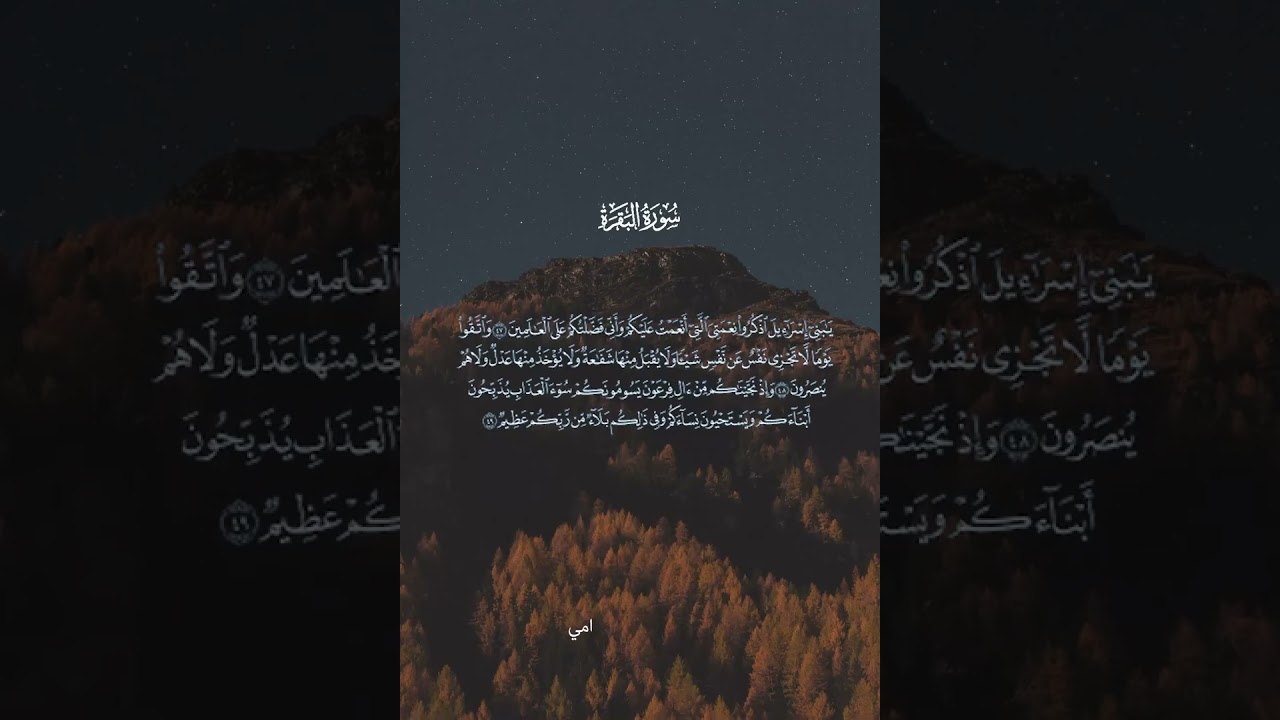 سورة البقرة (أخذها بركة) شفاء وحرز بإذن الله 🔔👍🏻 🌹 🔁