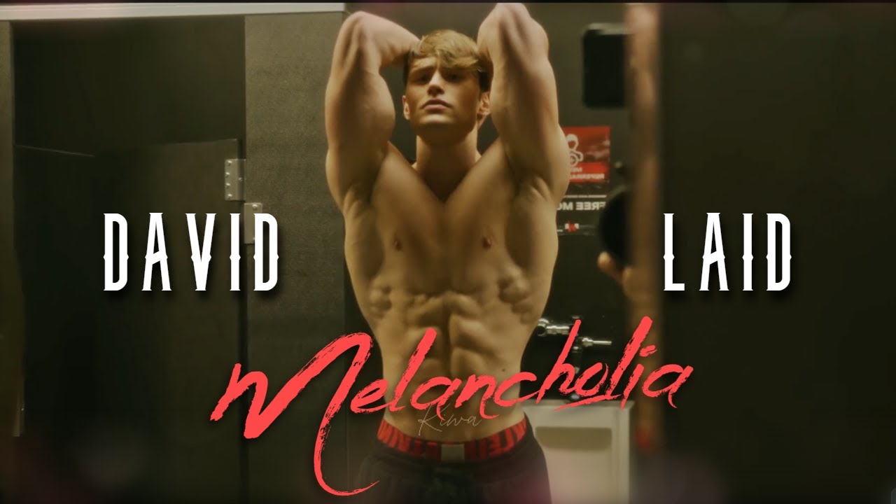 David Laid Motivational Video 2024 | Wasted Penguinz - Melancholia [HQ Original] 4K