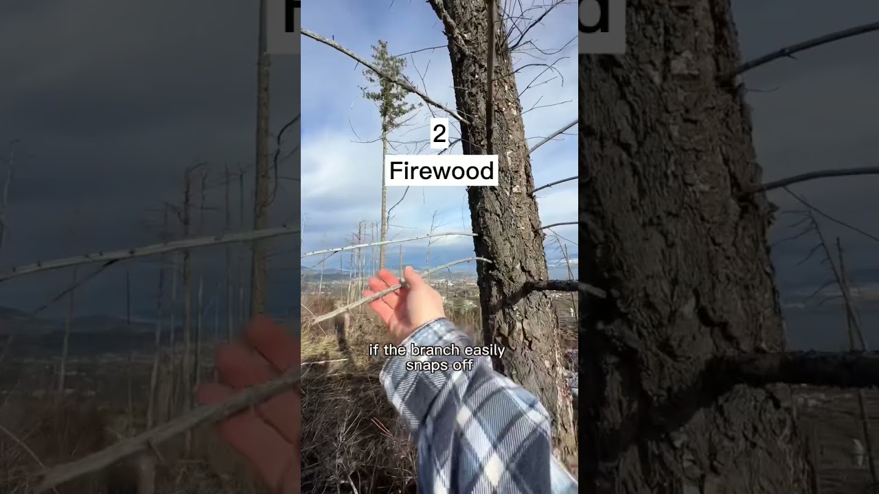 How to build a winter campfire. 3 things that help me the most: Ignition, firewood and the fire pit