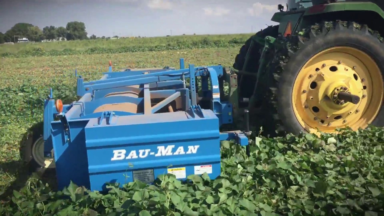 Sweet Potato Harvester