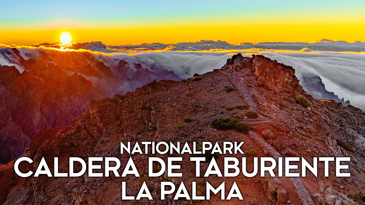 Nationalpark - La Palma | MYD Travel - Folge 116 [4K]