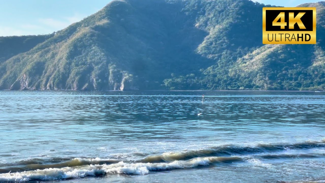 Olas del Mar y Gaviotas 🌊🕊️ Sonidos Relajantes de la Naturaleza por 1 Hora | Nivel Tierra