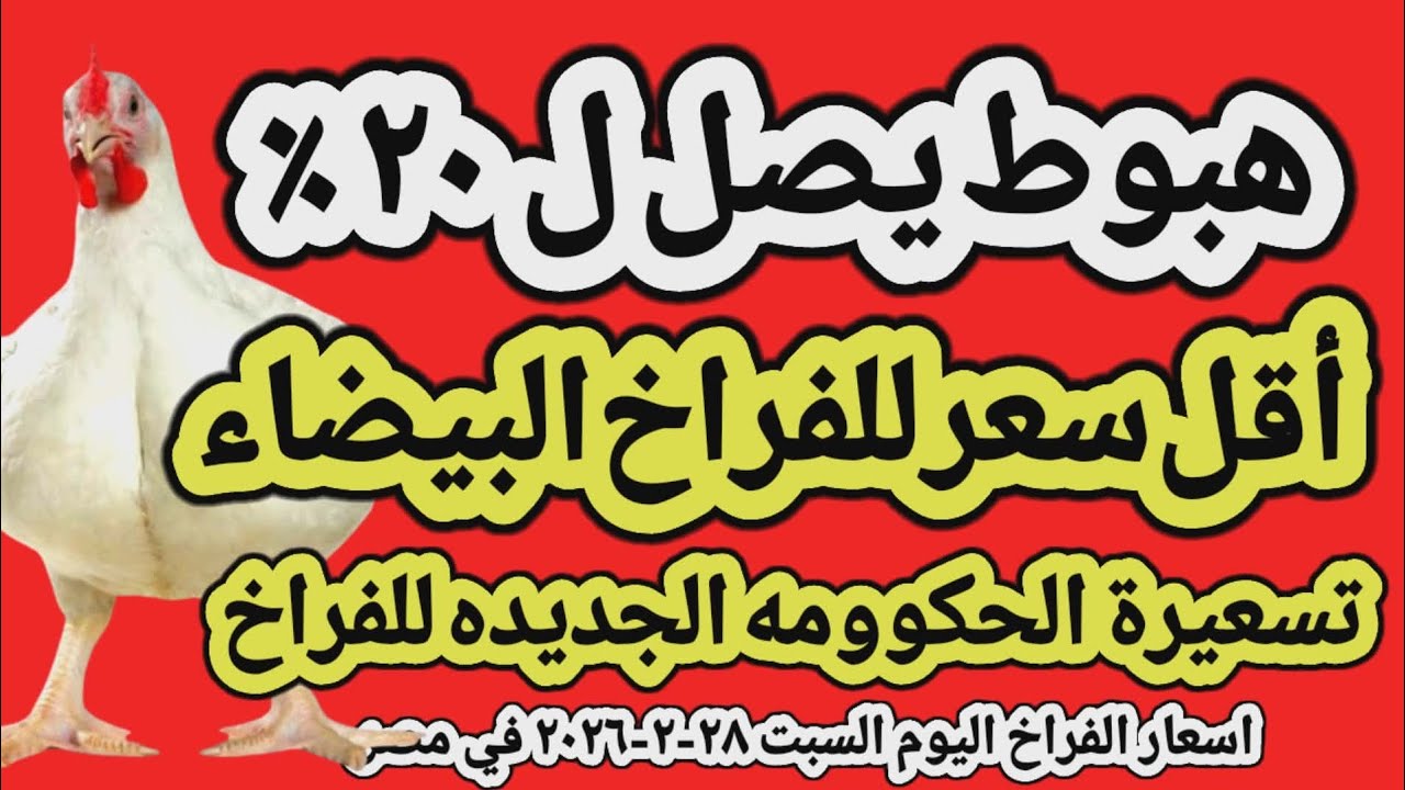 اسعار الفراخ البيضاء اليوم/ سعر الفراخ البيضاء اليوم السبت 2026/2/28 في مصر جمله وقطاعي