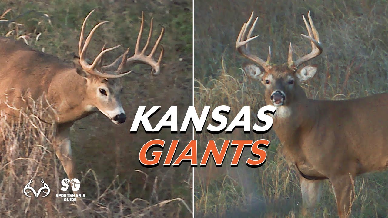 4 Kansas Giants | Monster Buck Moments Presented by Sportsman's Guide