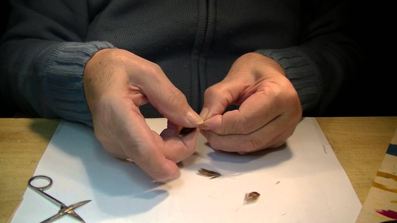 costruzioni di ali per sedge
