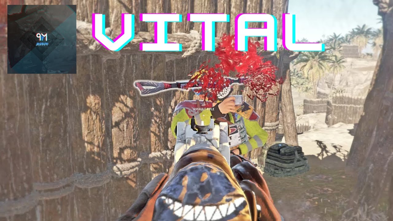 Complete Vital Decimation with QM