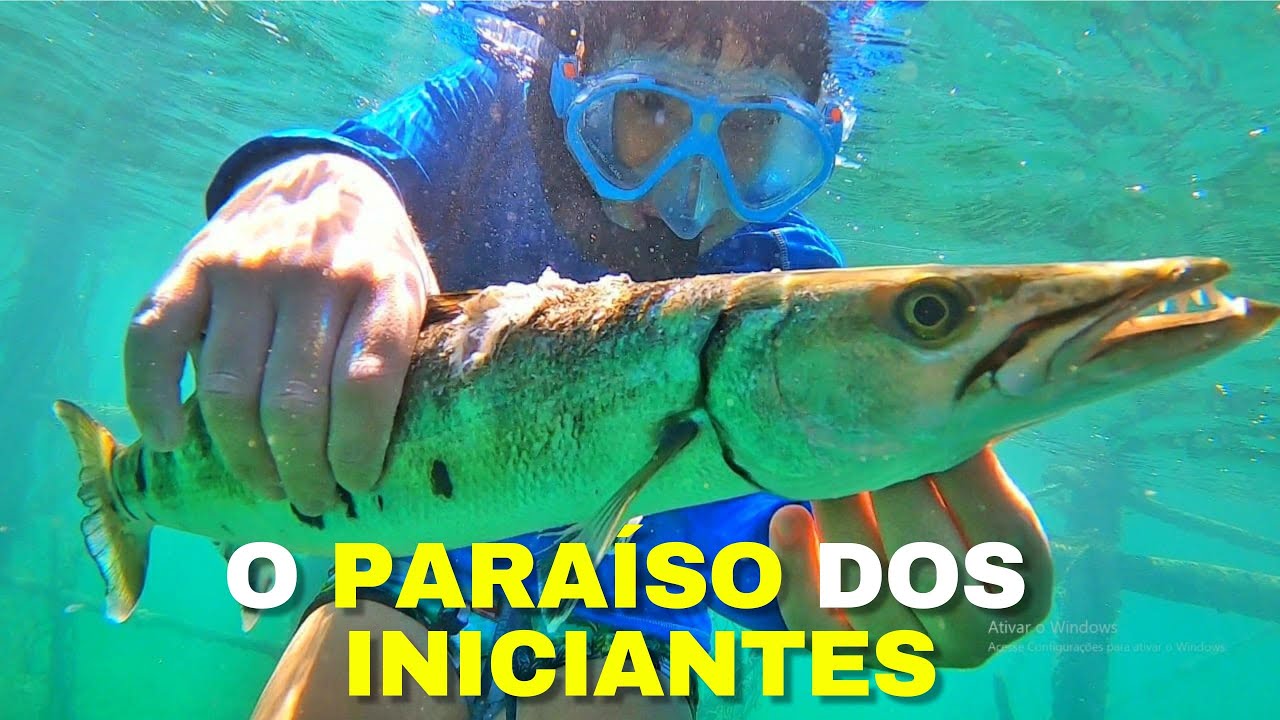 PESCA SUB PARA INICIANTES: ACHEI O PONTO DE PESCA PERFEITO!!! Muito peixe e água limpa, bem rasinho.