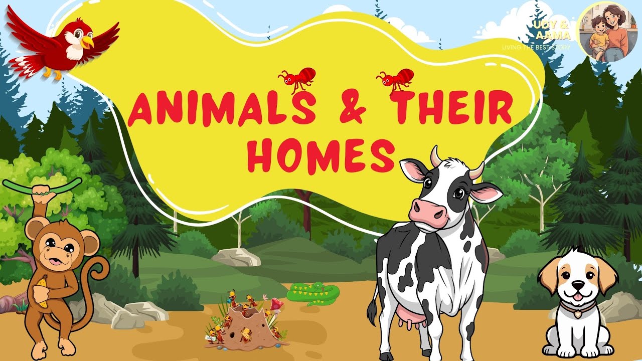 Animals and Their Home | Learn Animal Homes for Kids | Preschool Learning