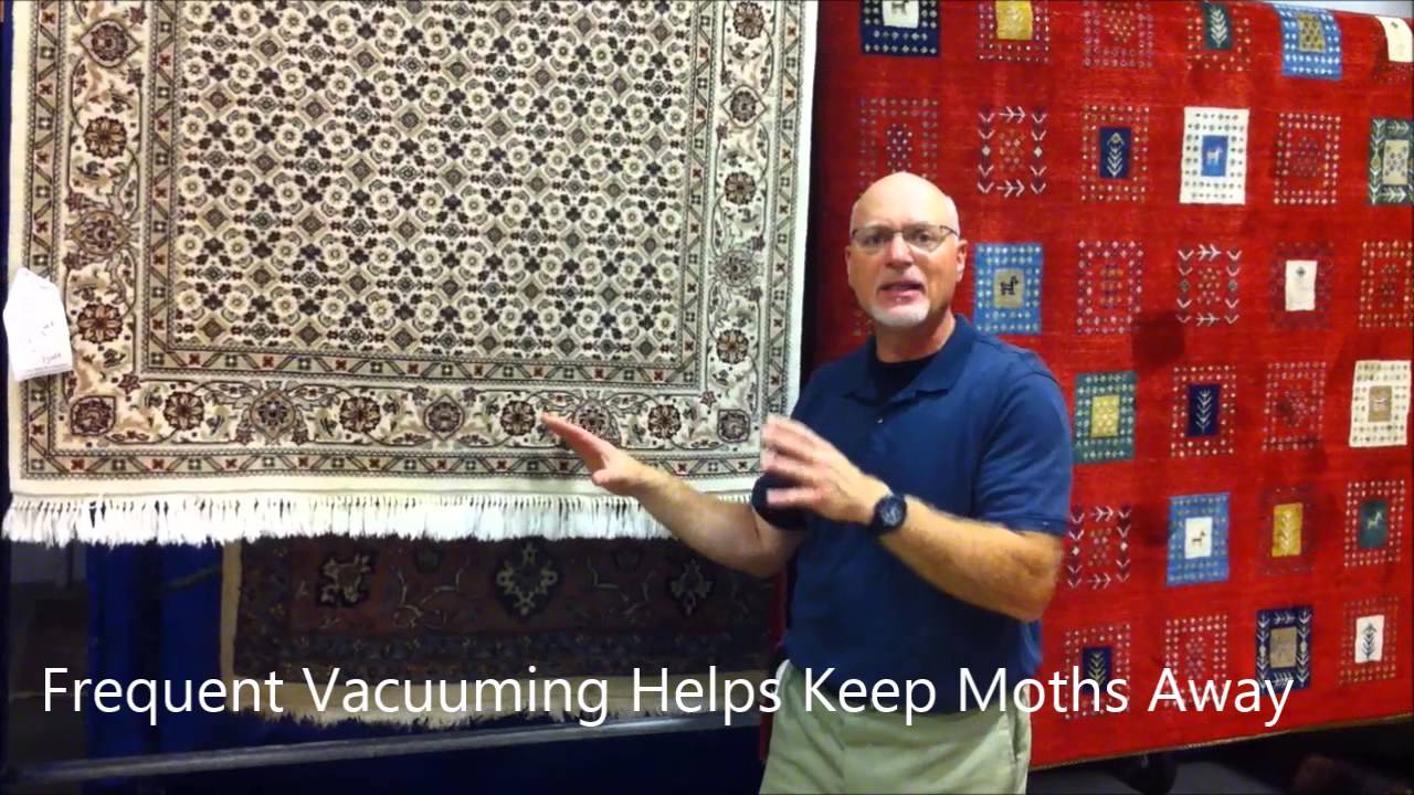 Preventing Moth & Insect Damage on Rugs and Wall Hangings-Boston