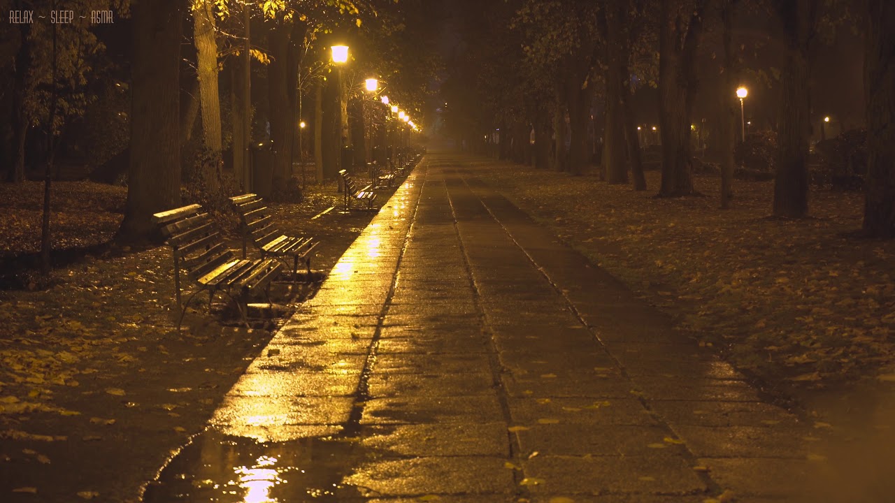 Quiet Night in the Park with Relaxing Sounds of Rain Falling Down the Empty Alleys, Puddles & Leaves