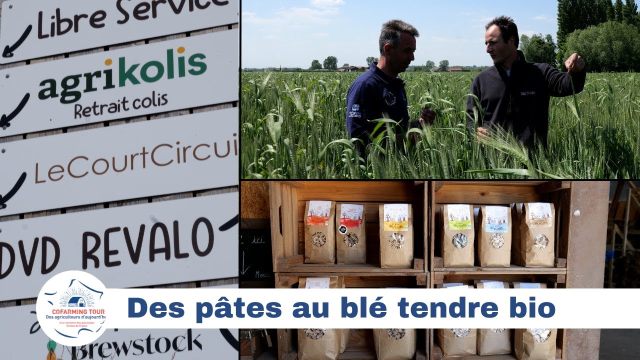 Des pâtes au blé tendre bio et de variétés anciennes #CFT