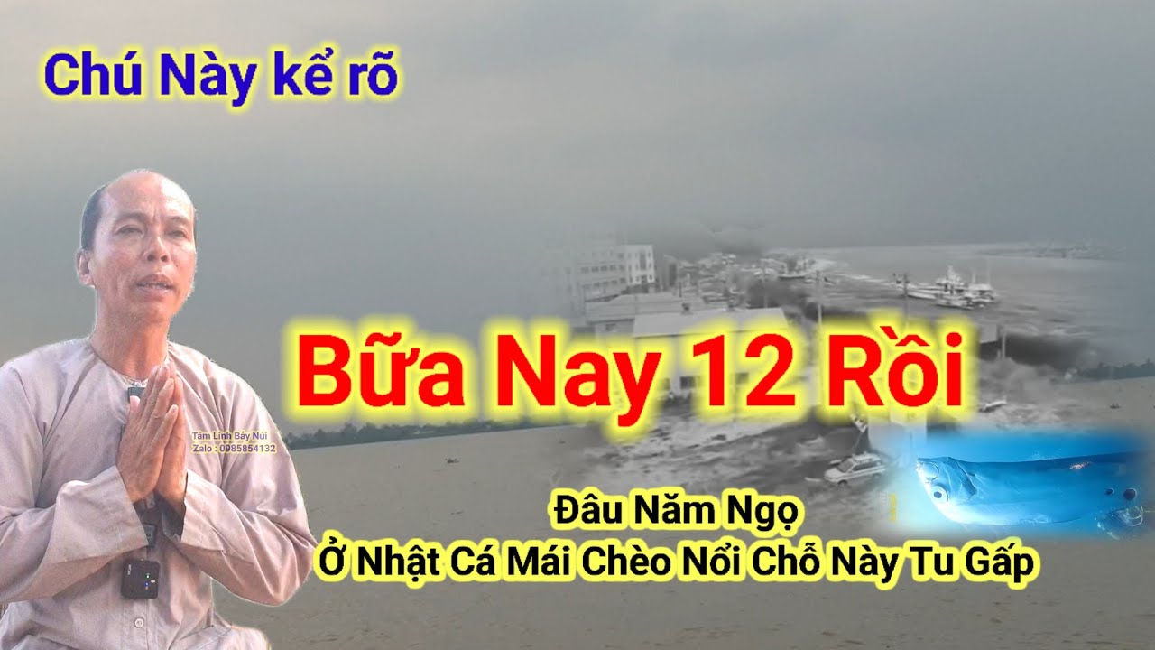 Điềm Lạ Năm Ngọ🛑 ở Nhật Cá Mái Chèo Nổi,Chỗ này Tu Gấp.