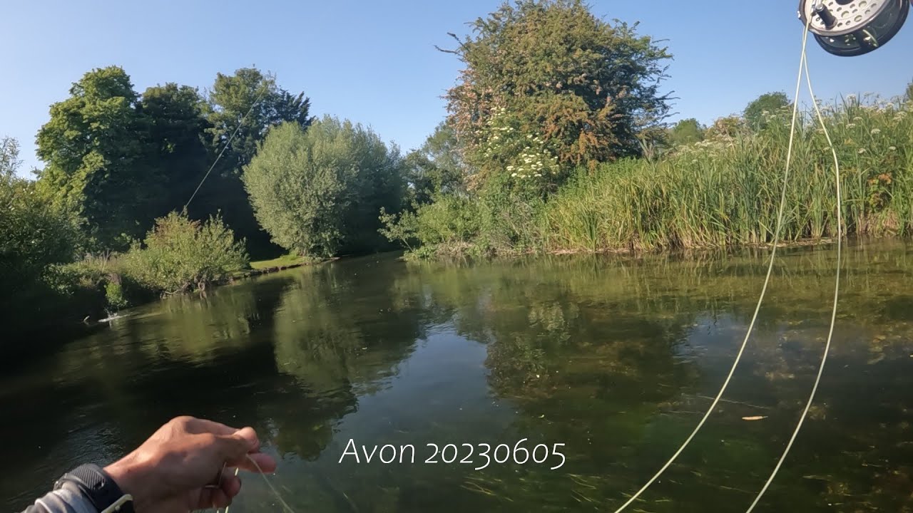 【Mayfly Fishing】Durrington, Wiltshire。